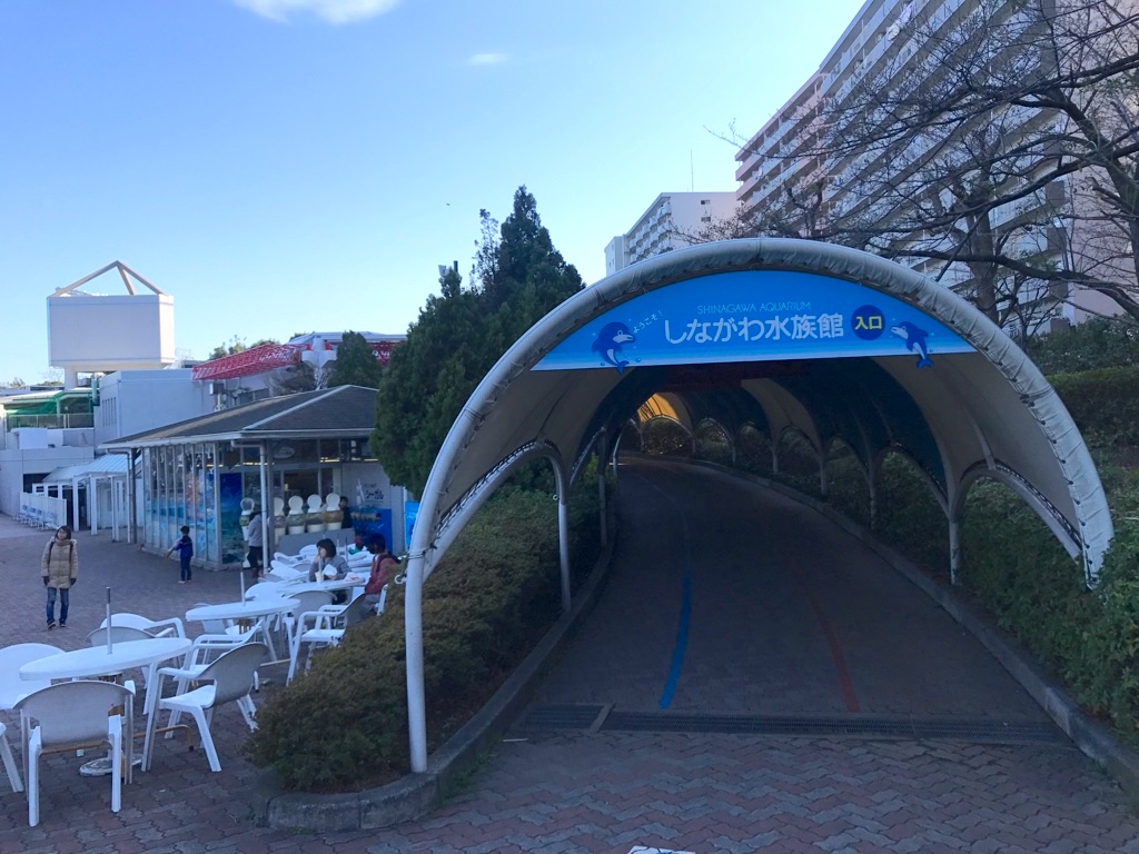 しながわ水族館完全ガイド 見どころ お土産 アクセス 割引情報 水族館 Com