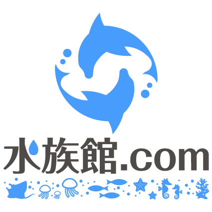 年最新版 水族館の利用者数ランキング 日本で一番お客さんの多い水族館はどこ 水族館 Com