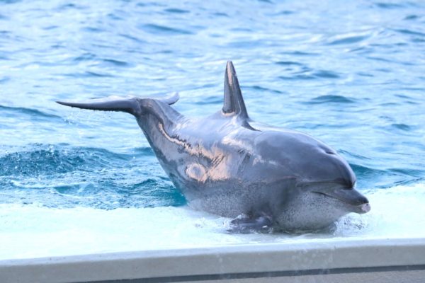 b9a0861fa642aa5ba27f276db242af